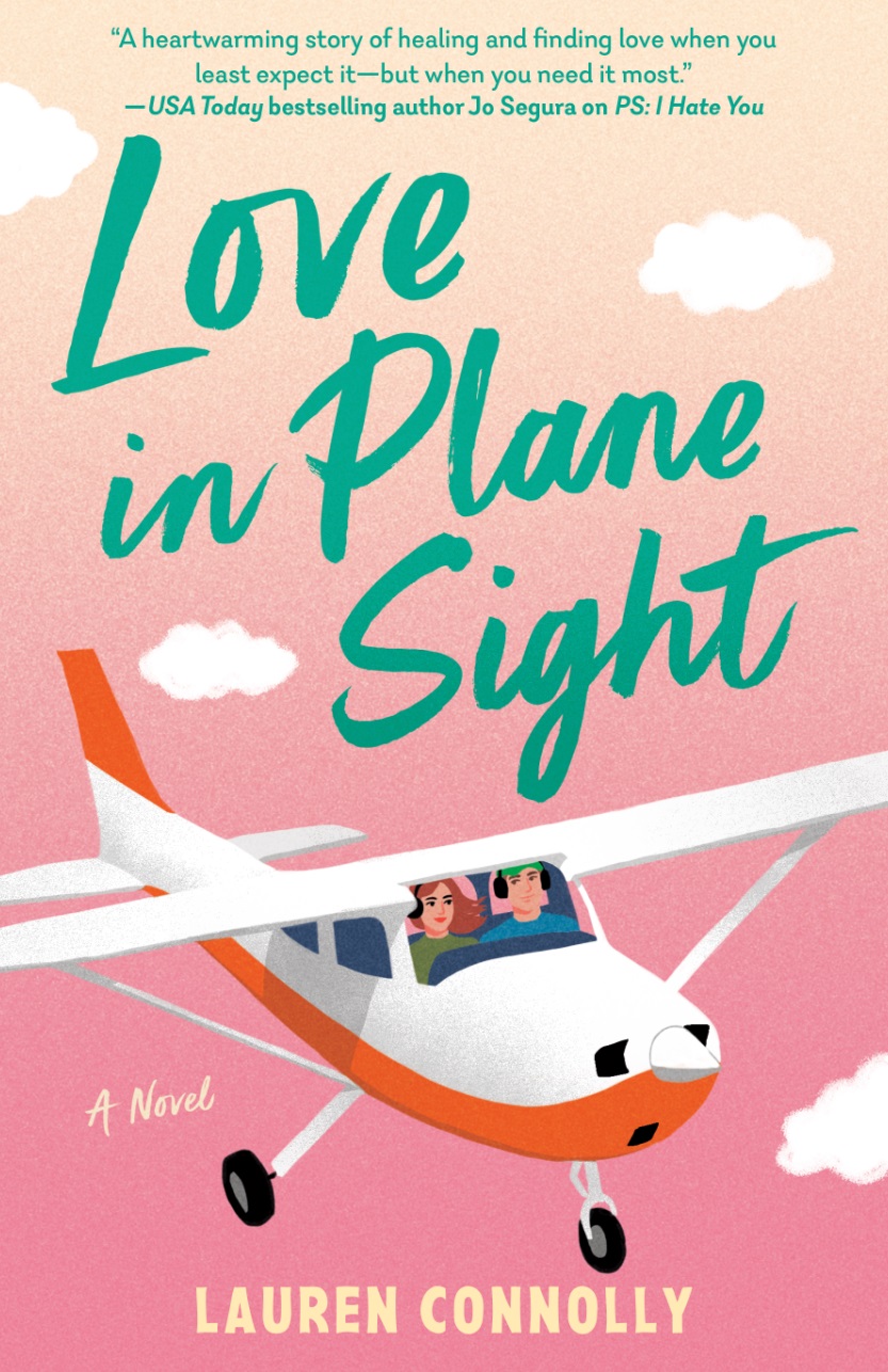 Love in Plane Sight book cover